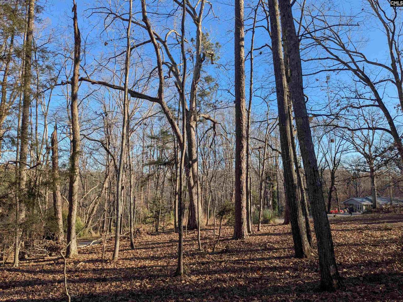 Dogwood Avenue - Photo 1