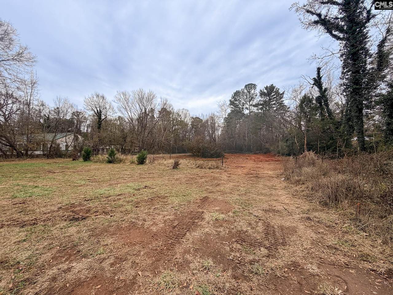 2723B Poinsett Highway - Photo 1