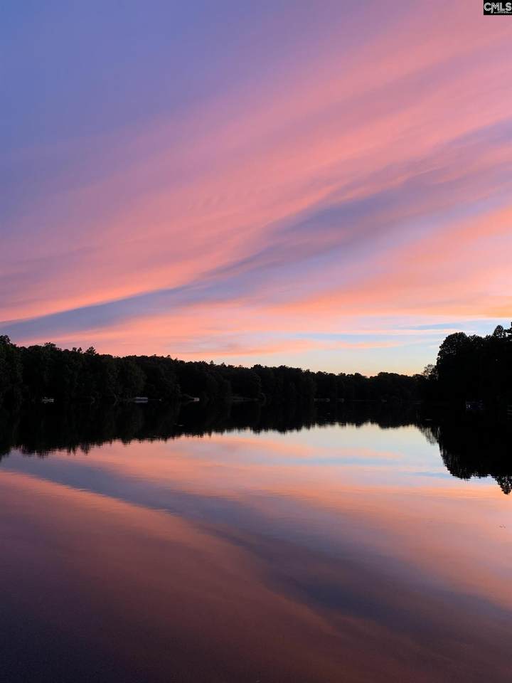 Lot 39 Edisto Lake Road - Photo 1