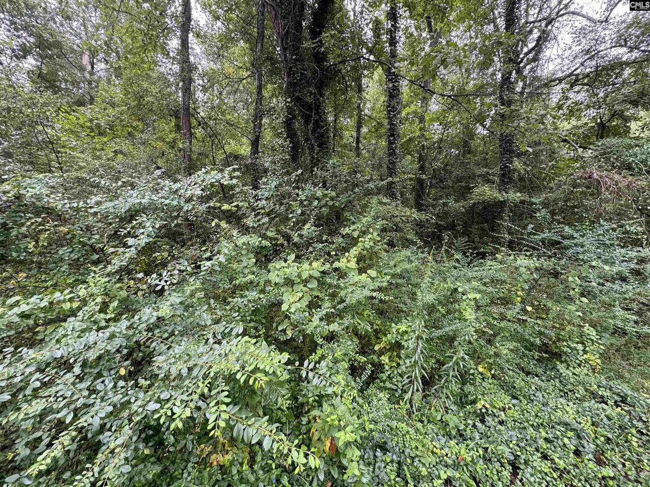 1314 Red Ridge Terrace - Photo 1