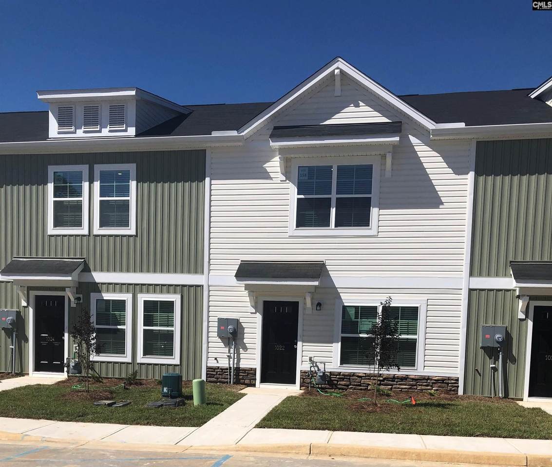 1010 Tundra Teal Lane - Photo 1