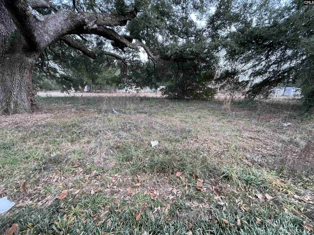 756 Laurens Street - Photo 1