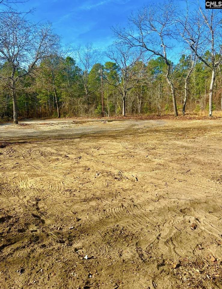 433 Cassidy Road - Photo 1