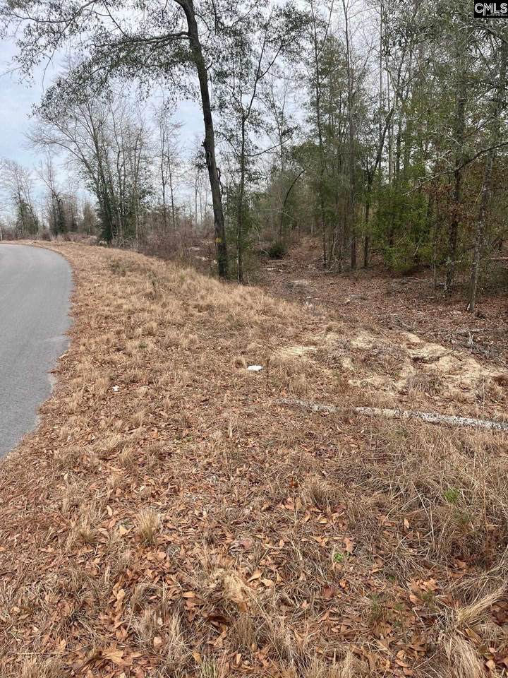 WHL 8 Rainbow Drive Whl 8 - Photo 1