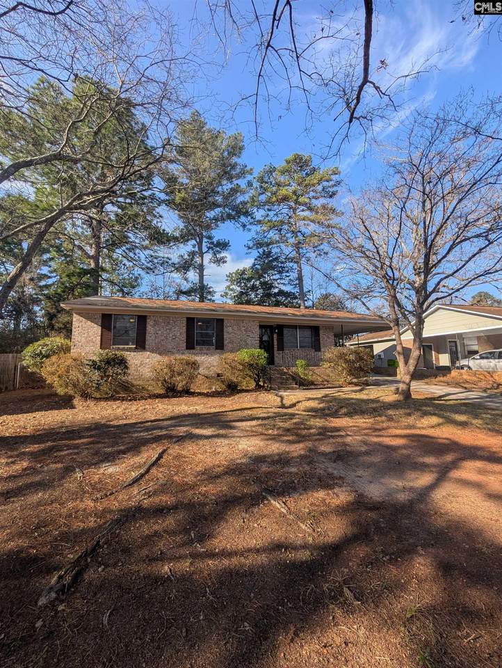 121 Netherland Drive - Photo 1