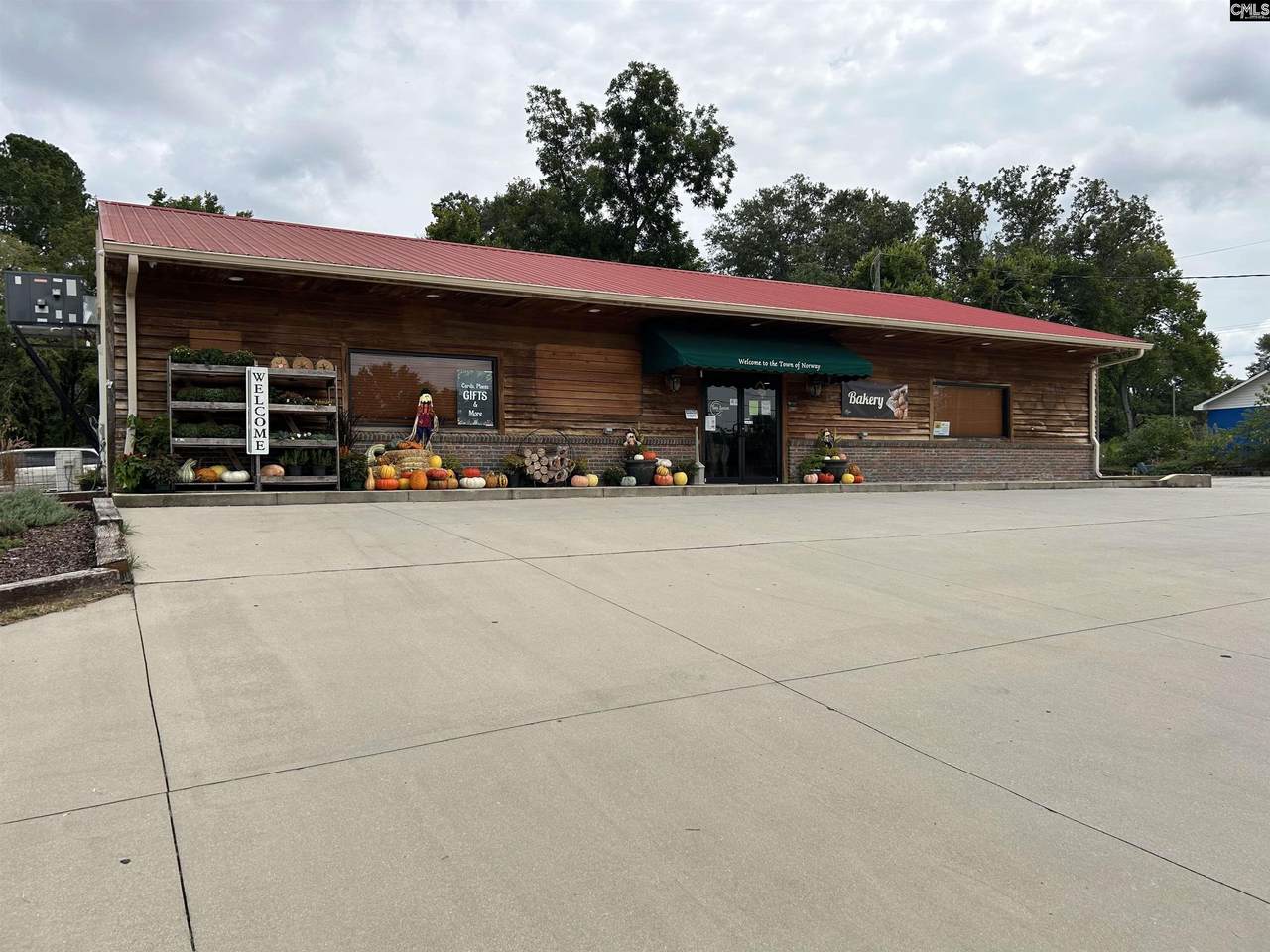 8291 Savannah Highway - Photo 1