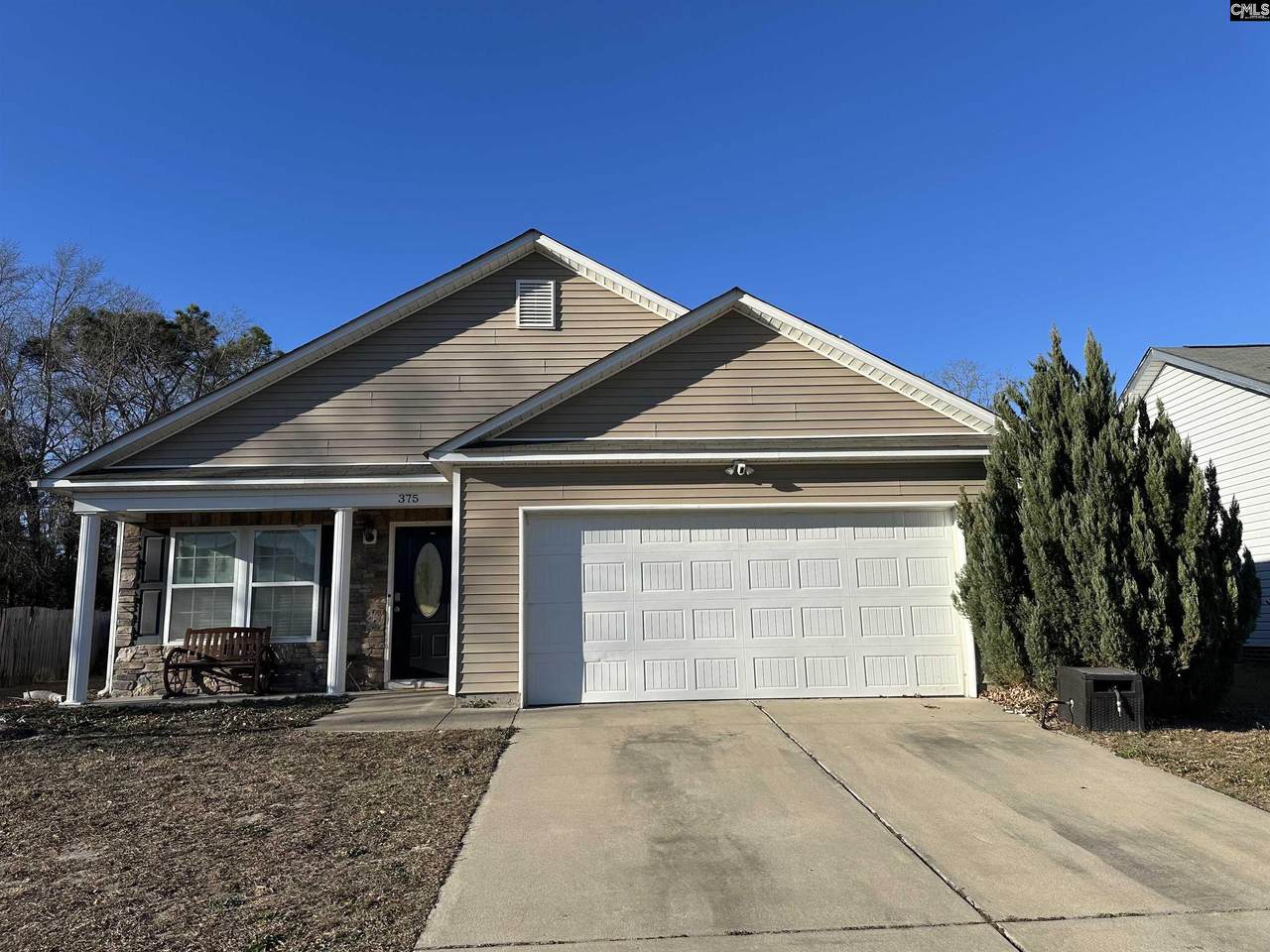 375 Colony Lakes Drive - Photo 1
