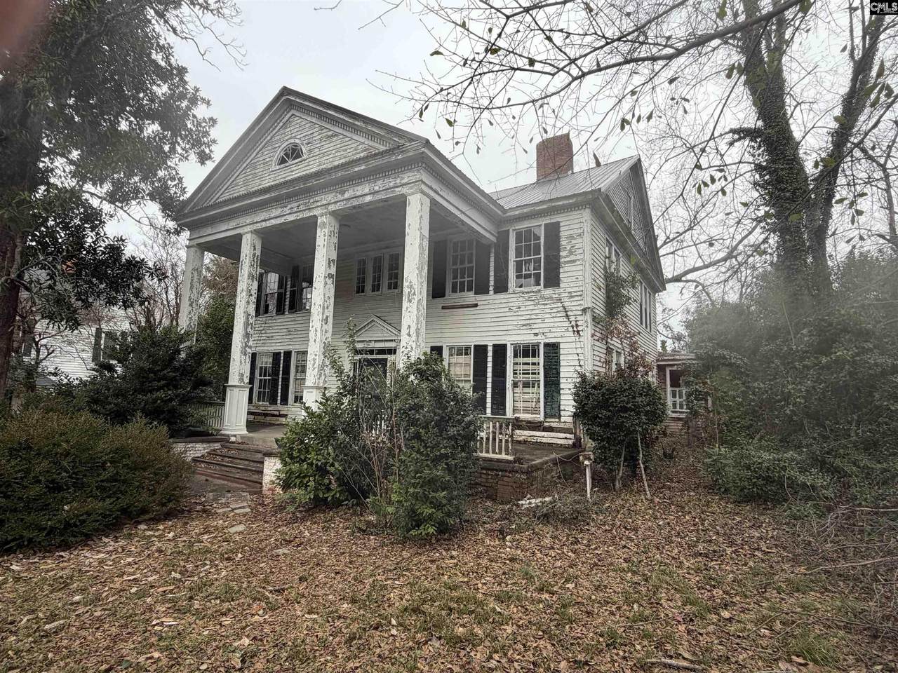 1234 Calhoun Street - Photo 1