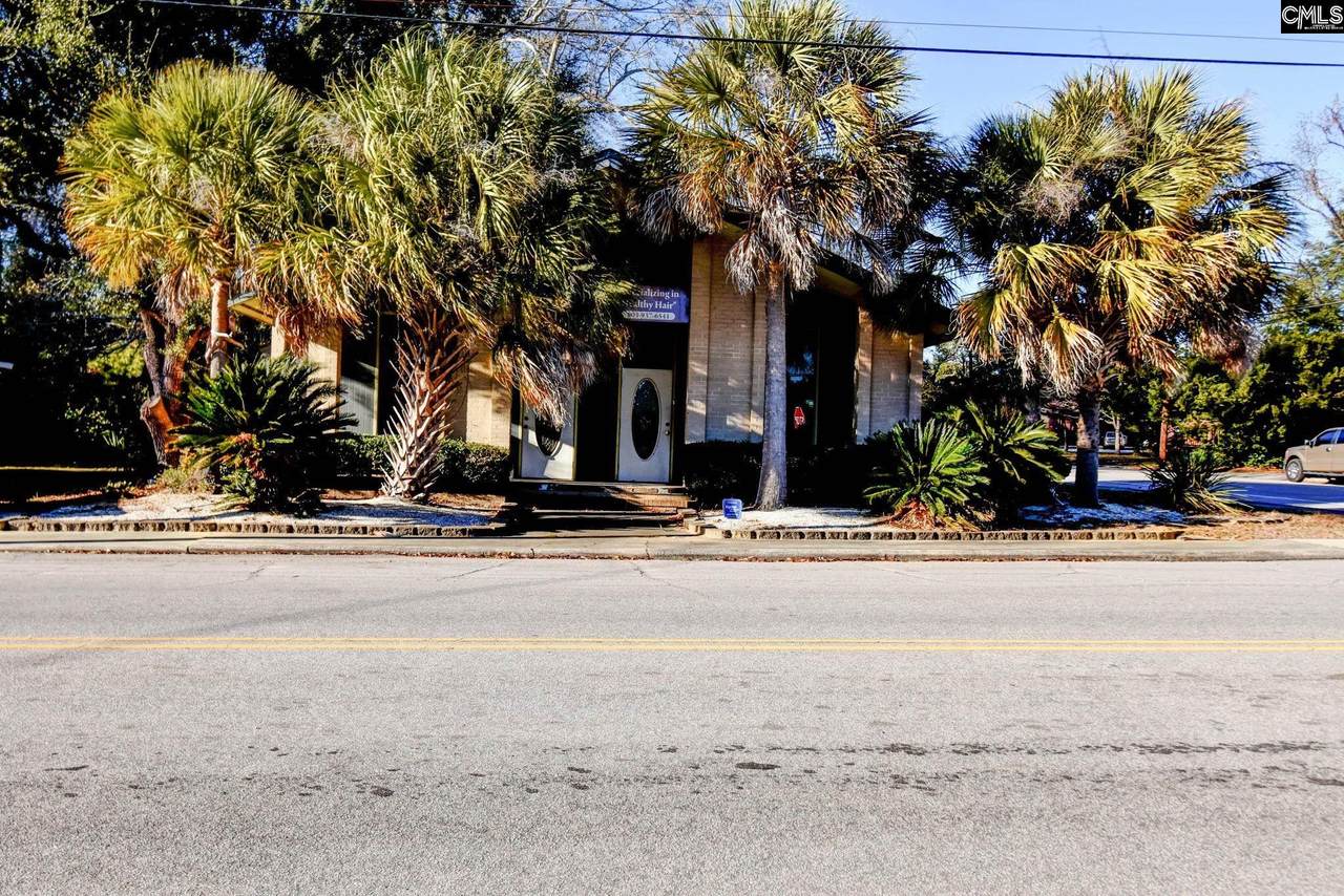 495 Dantlzer Street - Photo 1