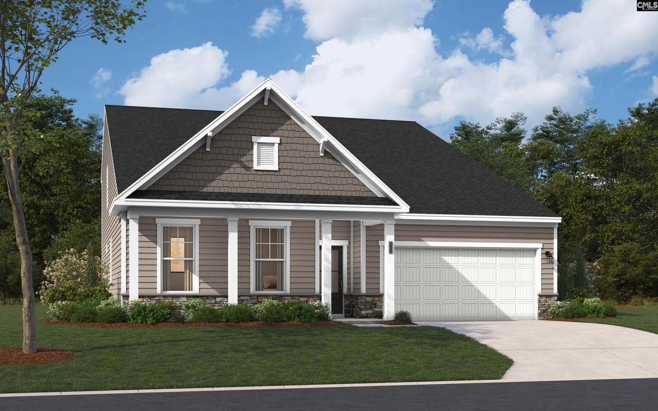2495 Green Viper Loop - Photo 1