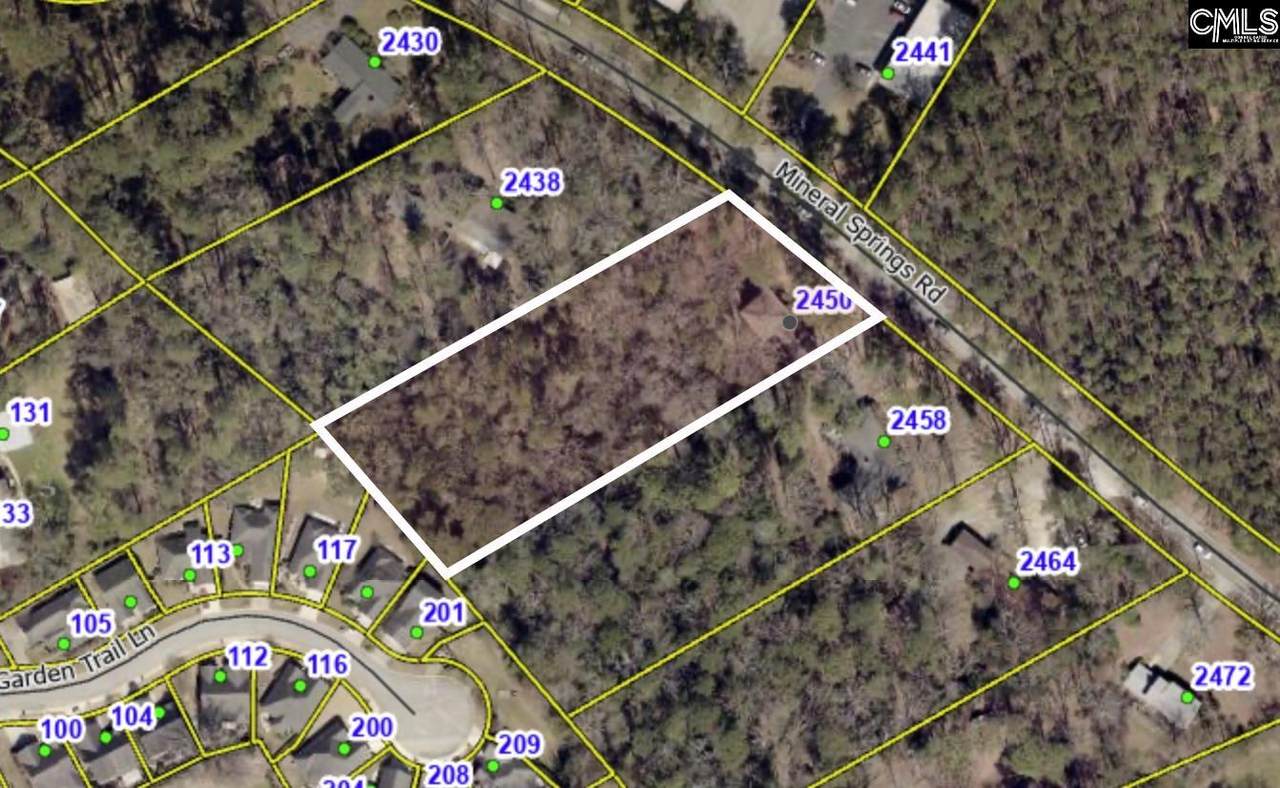 2450 Mineral Springs Road - Photo 1
