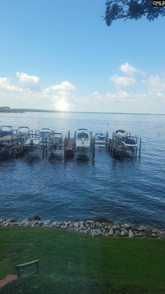 1441 Old Chapin Road 123 - Photo 1