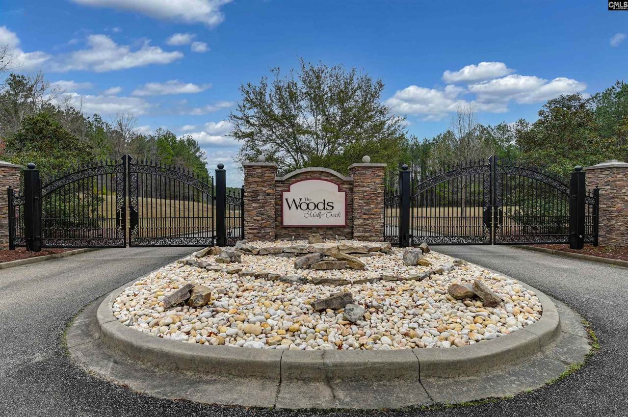 Lot 4 Retreat Way - Photo 1