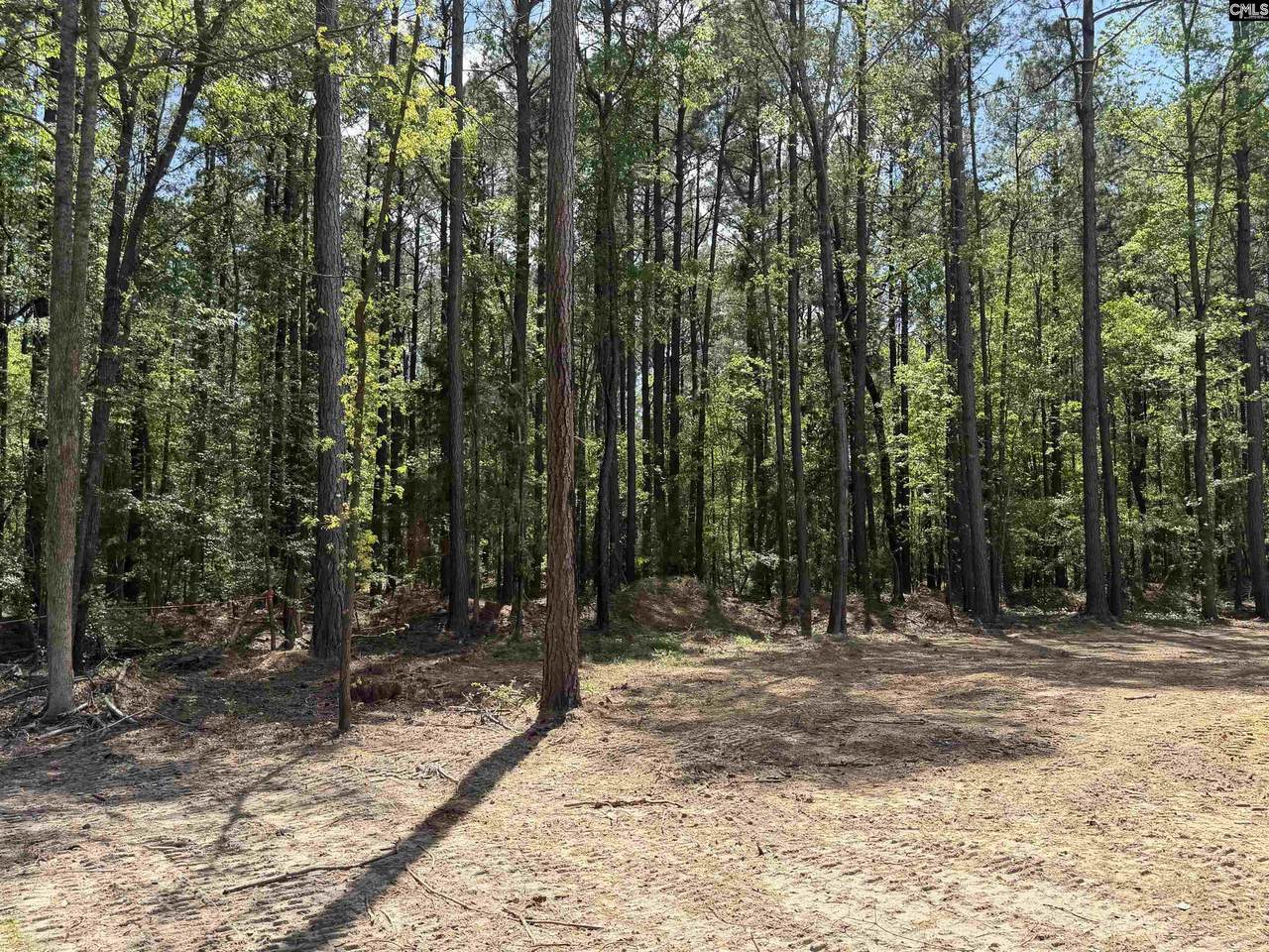 https://bt-photos.global.ssl.fastly.net/cola/1280_boomver_1_630684-2.jpg