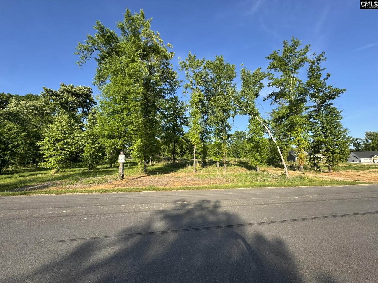 238 Navigator Trail - Photo 1