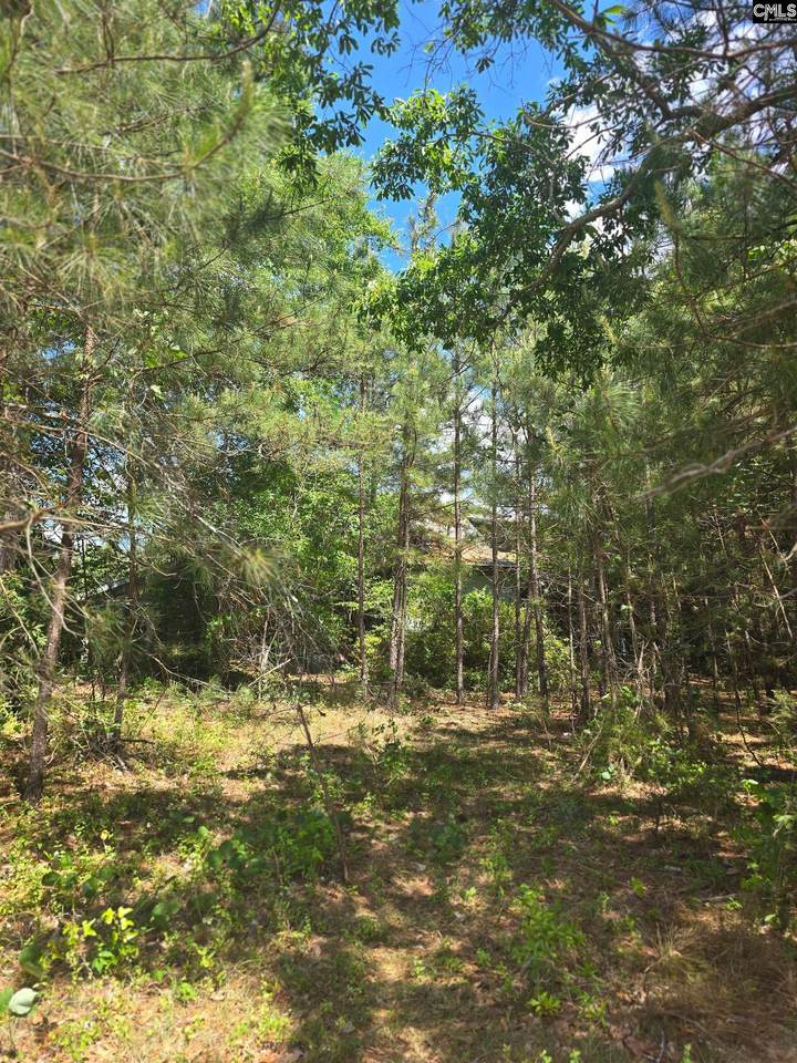 13824 Newberry Road - Photo 1