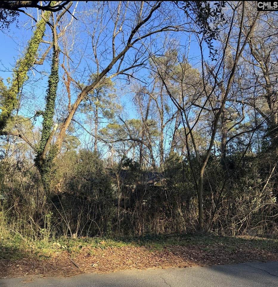 1522 Jerome Drive - Photo 1