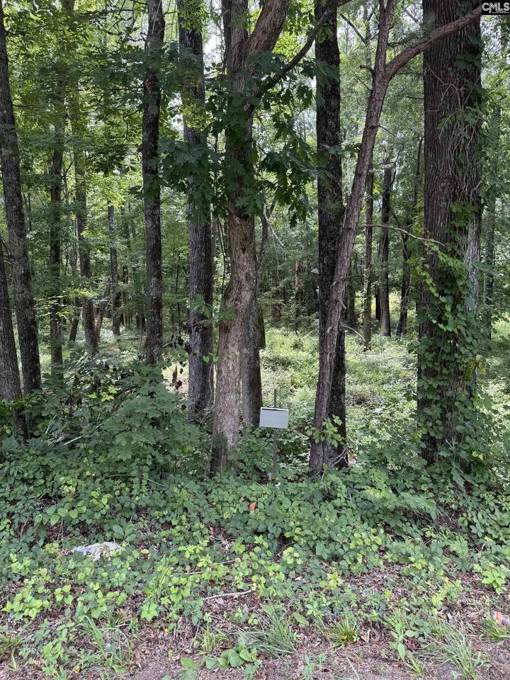 1409 Mullis Road - Photo 1