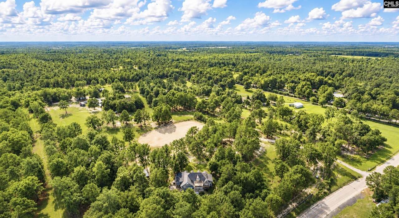 1377 Pine Road - Photo 1
