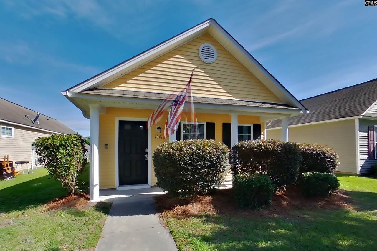 1041 Rabon Pond Drive - Photo 1