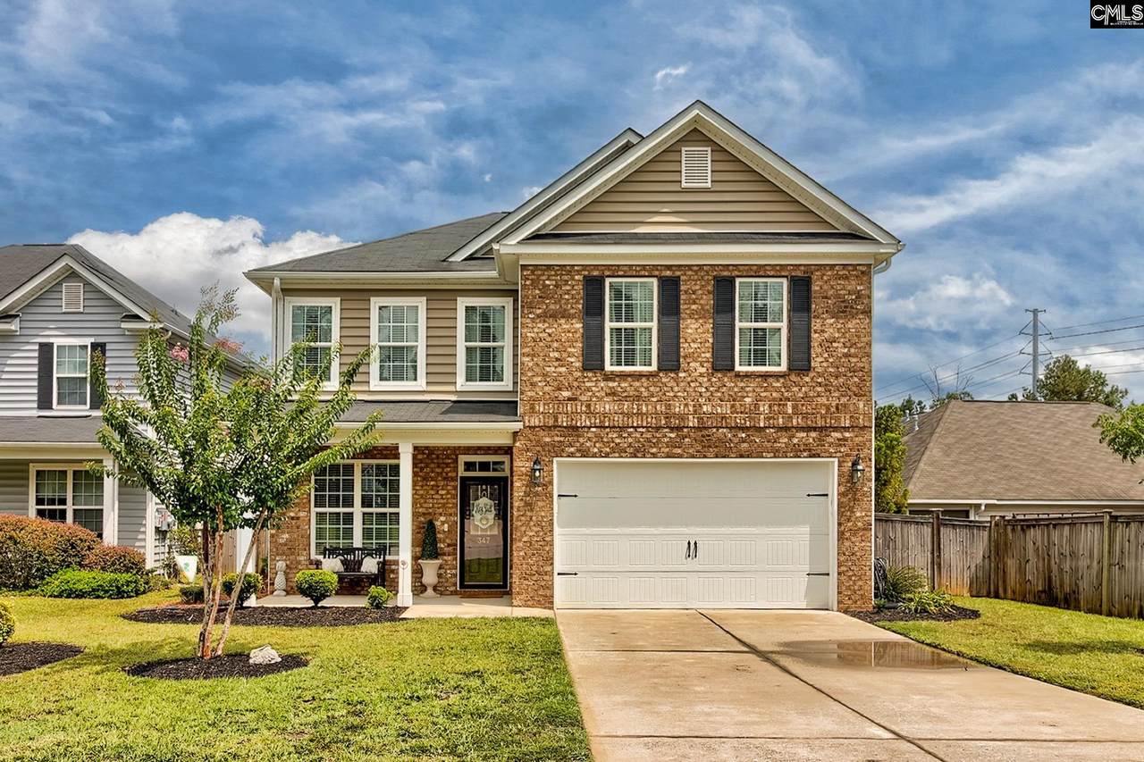 347 Duck Creek Lane - Photo 1