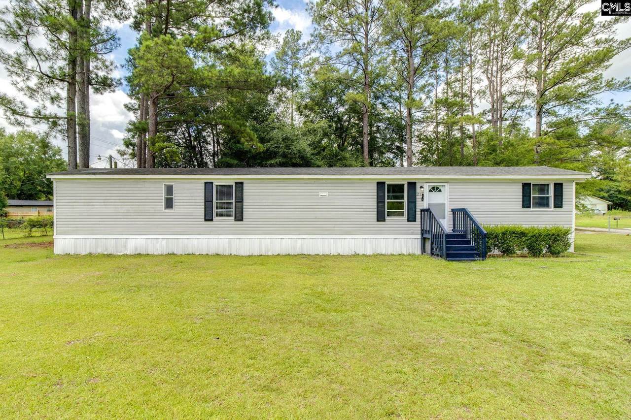 217 Acie Avenue - Photo 1