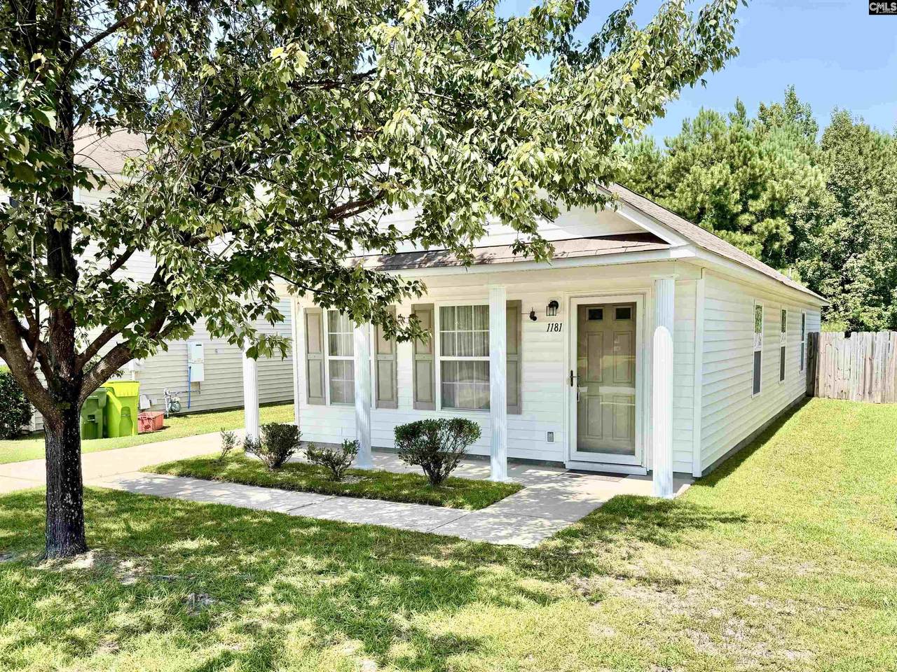 1181 Rabon Pond Drive - Photo 1