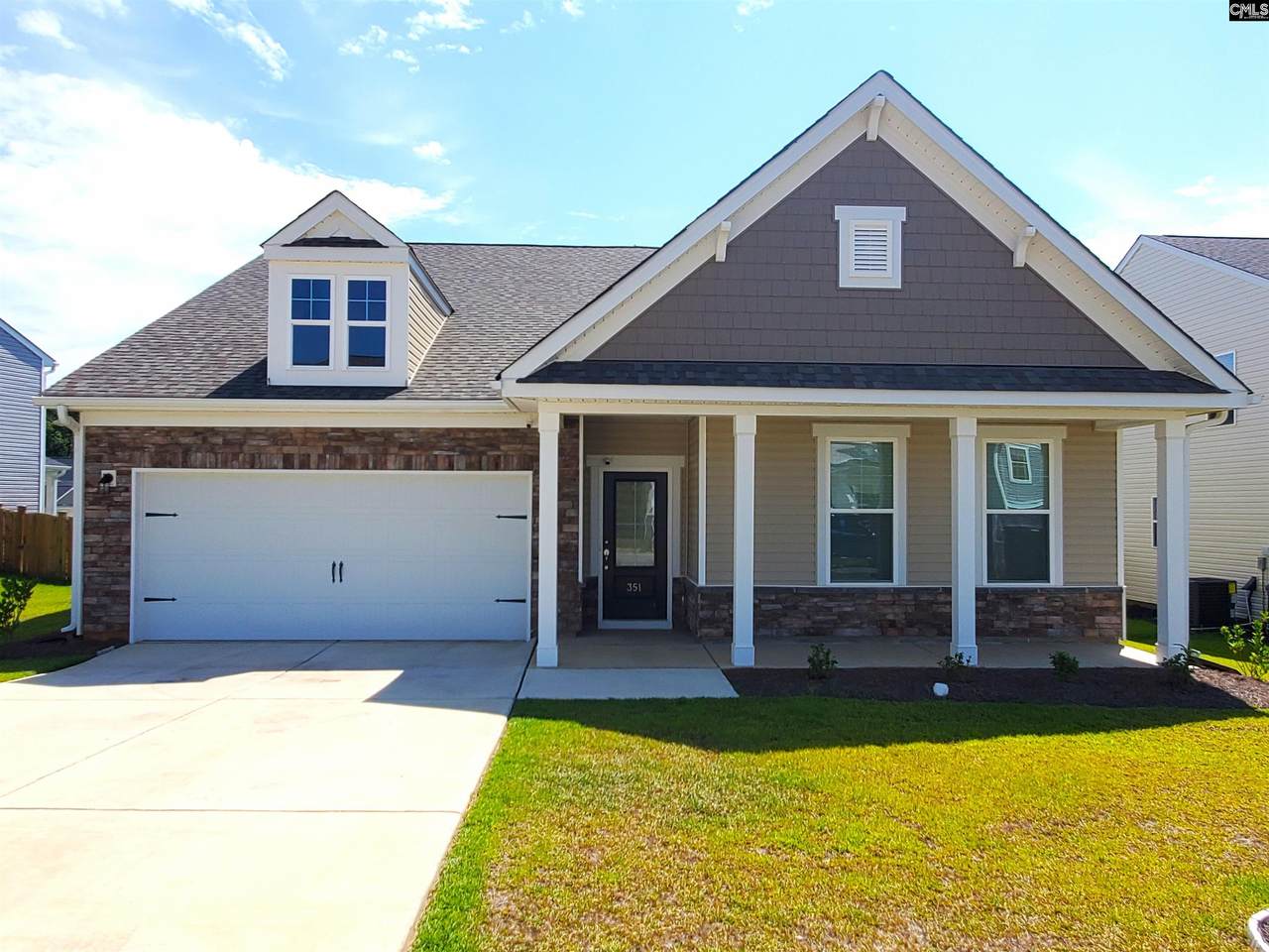 351 Chapin Place Way - Photo 1