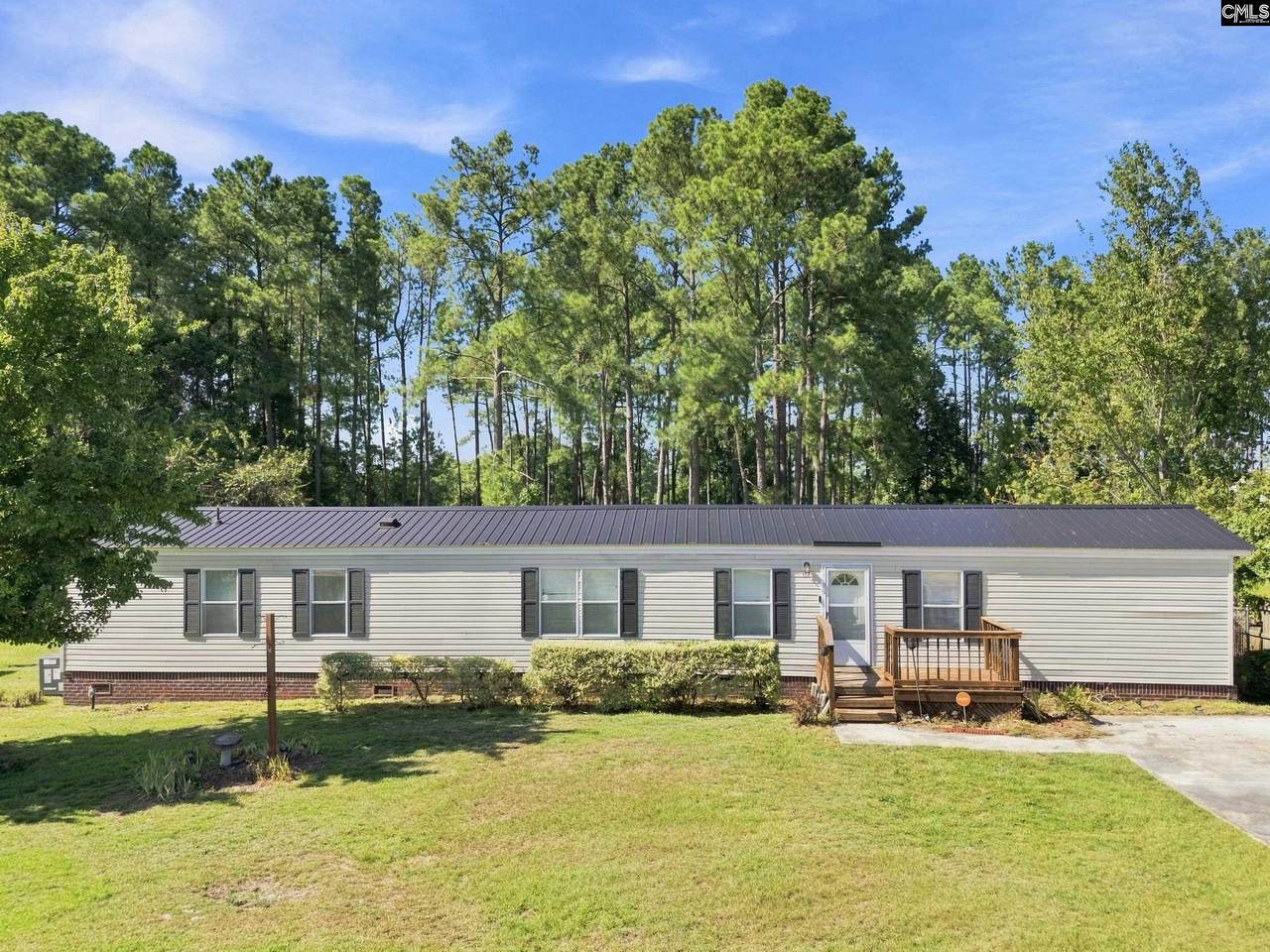 123 Castleville Court - Photo 1