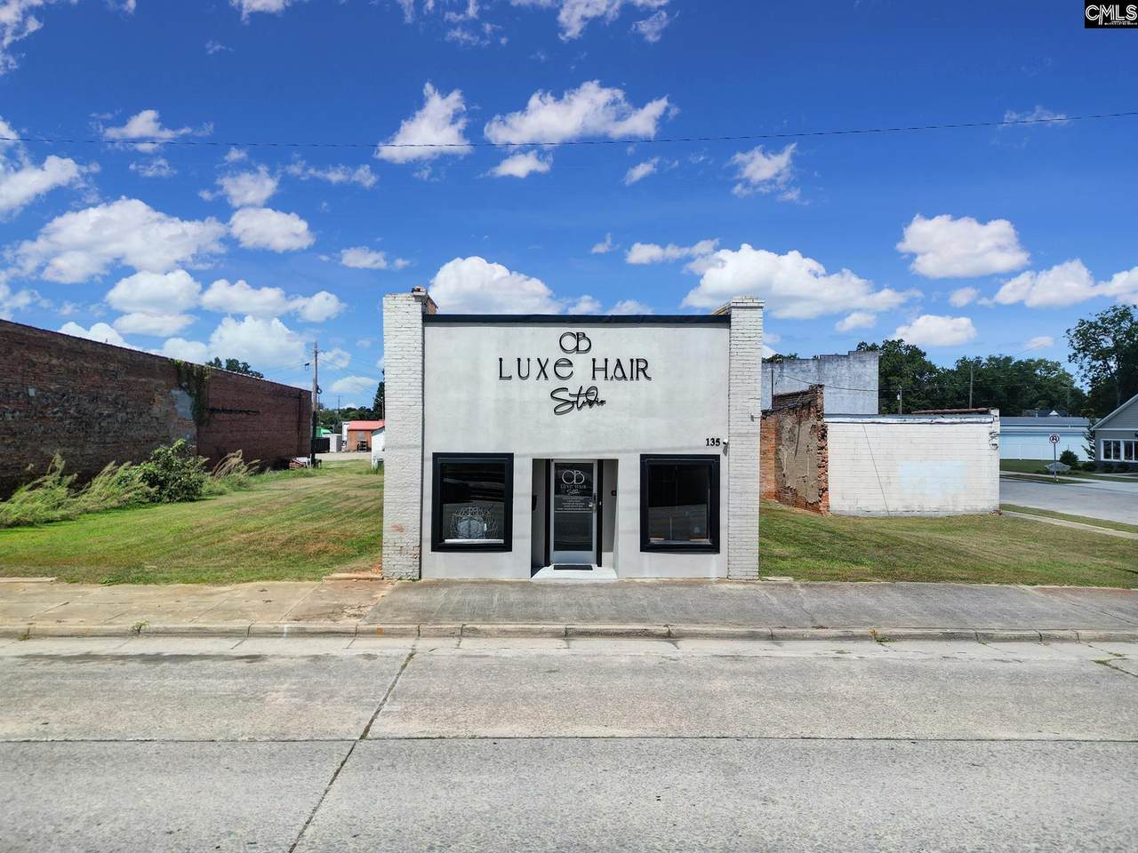 135 Marion Street - Photo 1
