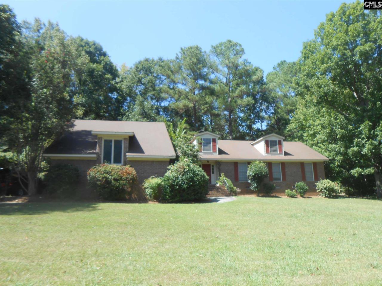 630 White Falls Drive - Photo 1