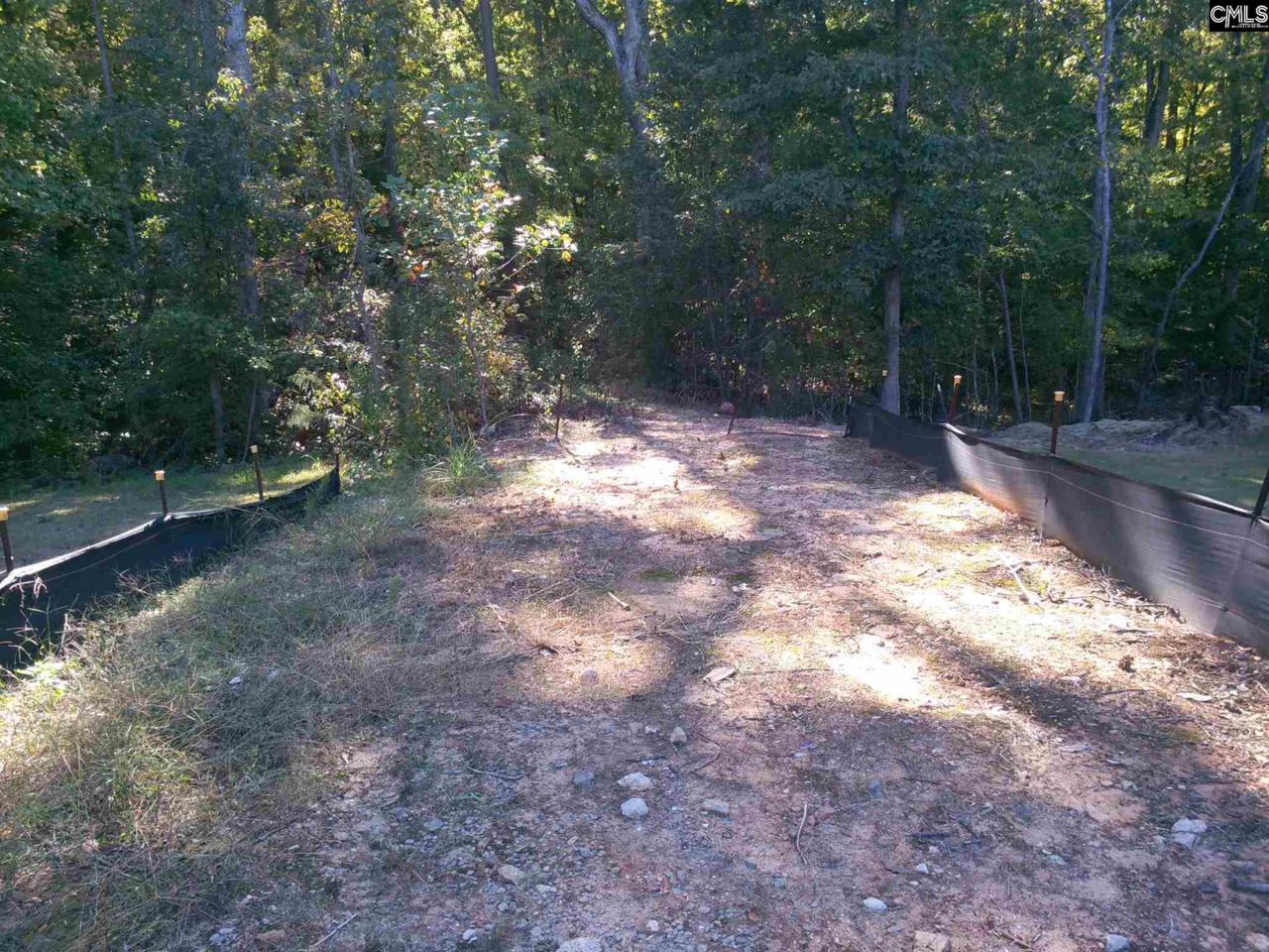 100 King Lees Court - Photo 1