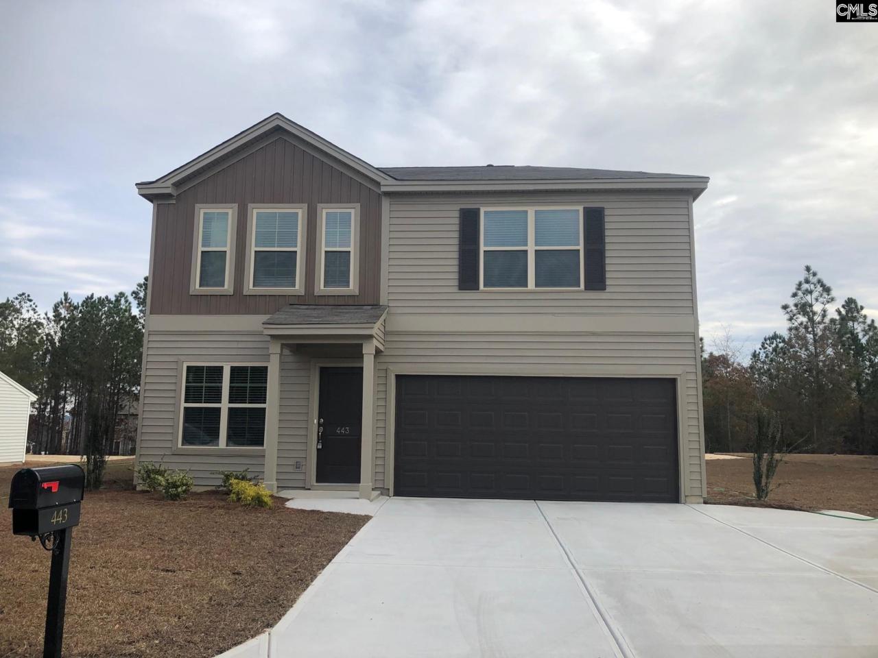 443 Peak Copper Court - Photo 1