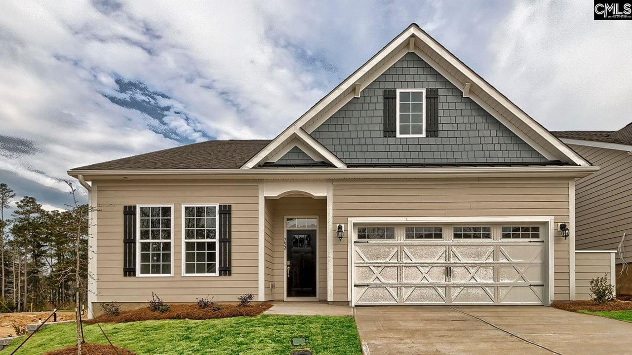 752 Carolina Aster Drive - Photo 1