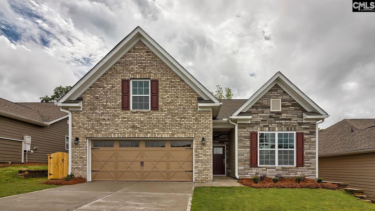 733 Carolina Aster Drive - Photo 1