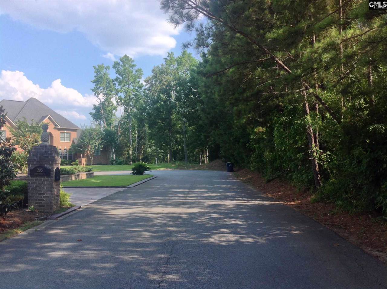 213 Carnouste Court - Photo 1