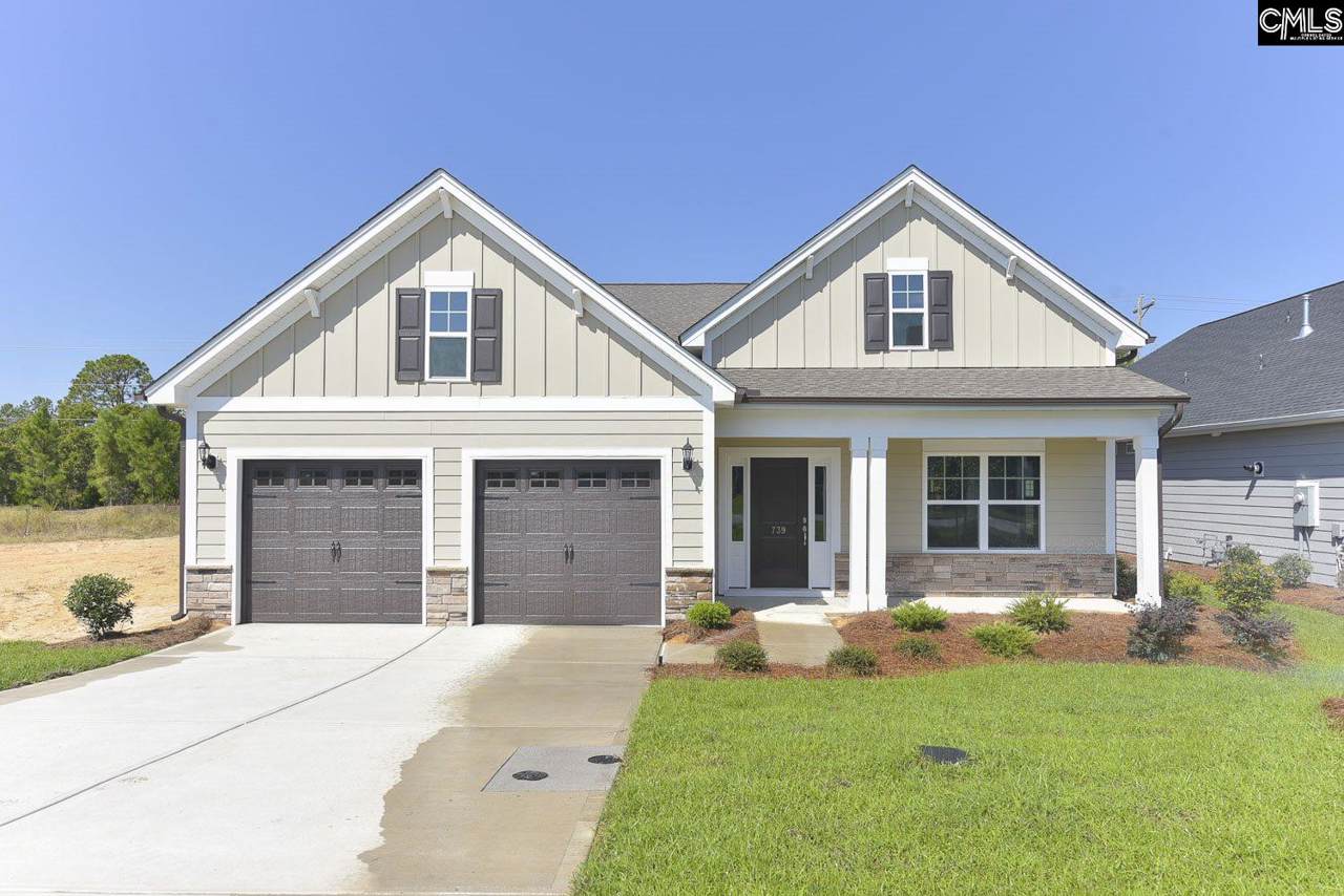 739 Long Iron Lane - Photo 1