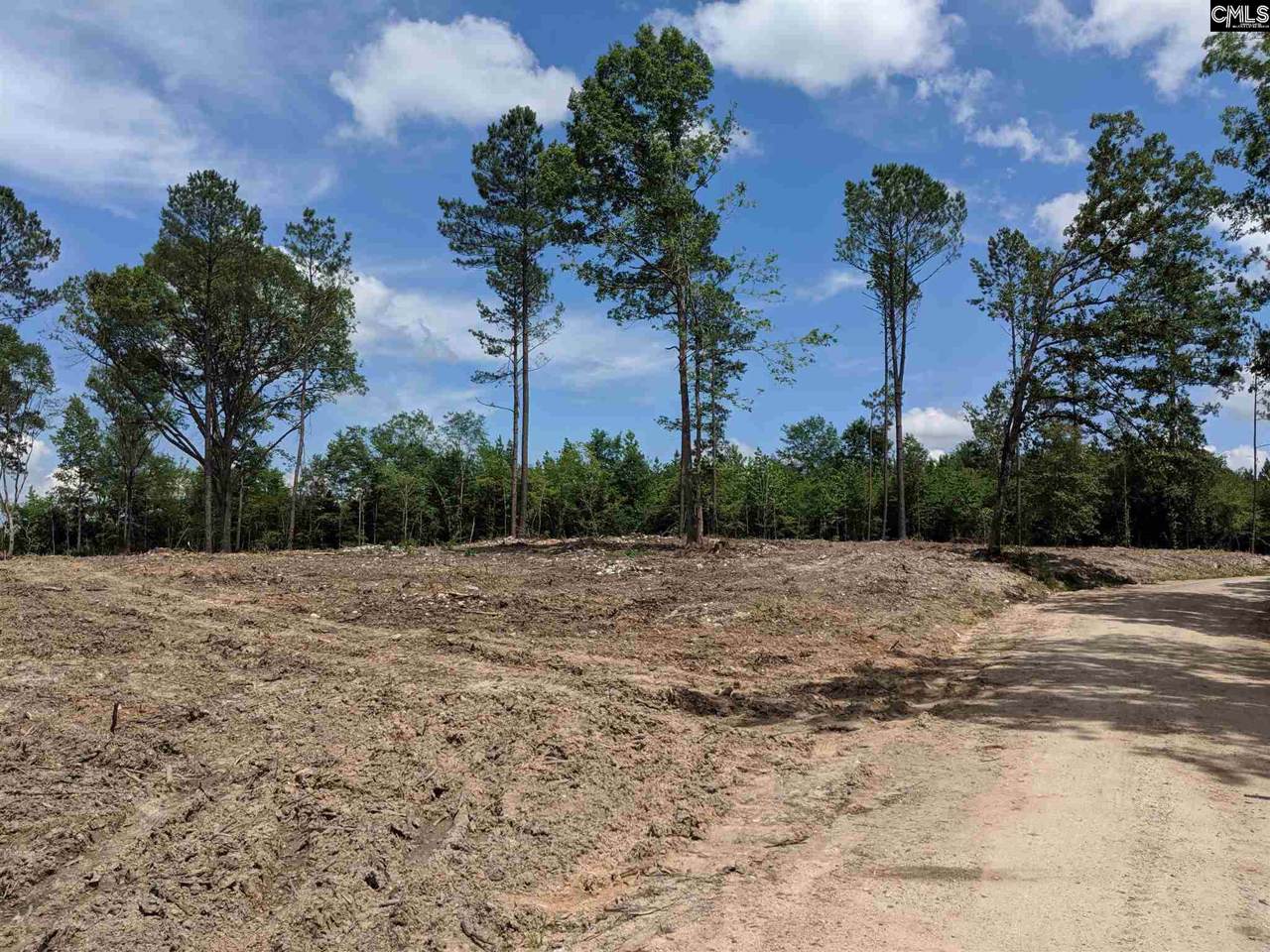 TBD Moses Road - Photo 1
