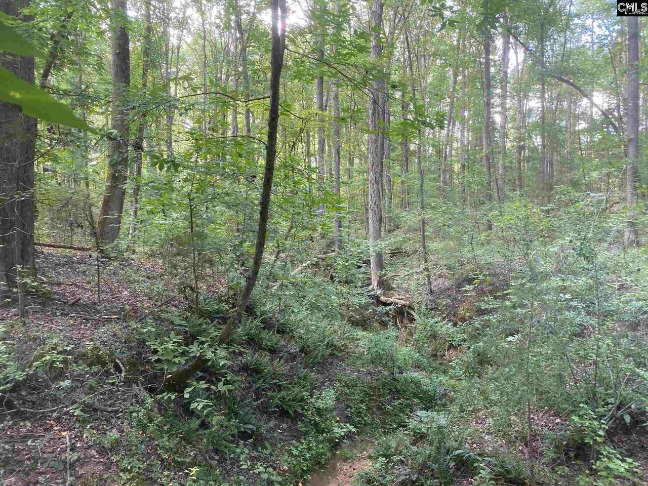 0 South Carolina Highway 34 - Photo 1