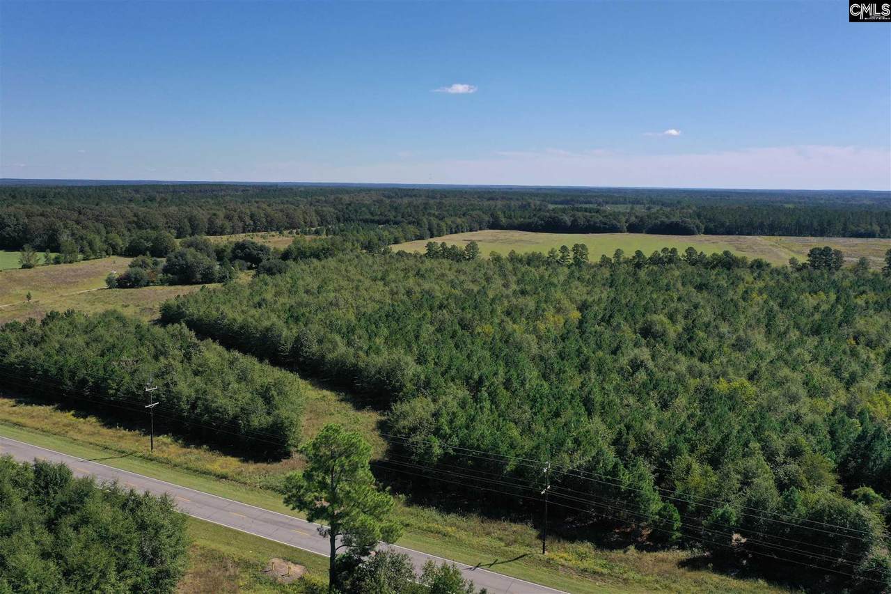 Whetstone Rd (Hwy 3) - Photo 1