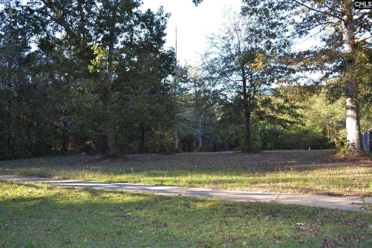 372 Town Pond Road - Photo 1
