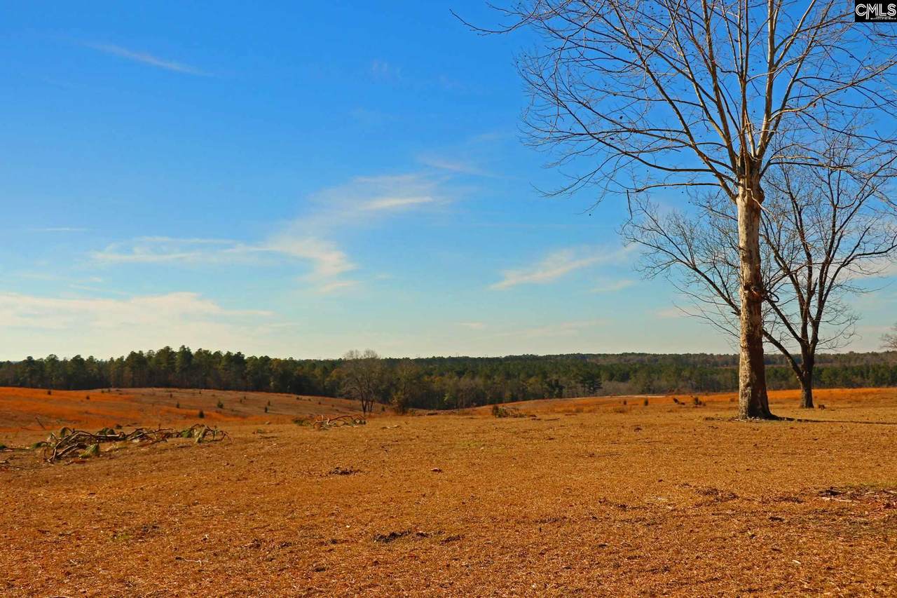 5519D Wagener Road D - Photo 1