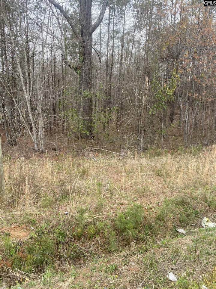 1200 Blk Hwy 21 - Photo 1