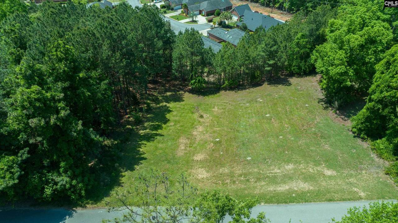 213 Silver Fox Lane - Photo 1