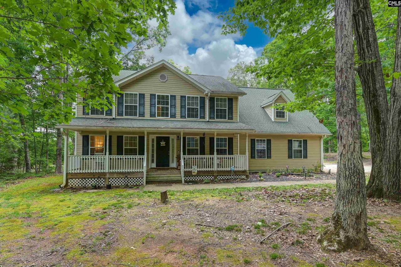 1324 Dreher Island Road - Photo 1