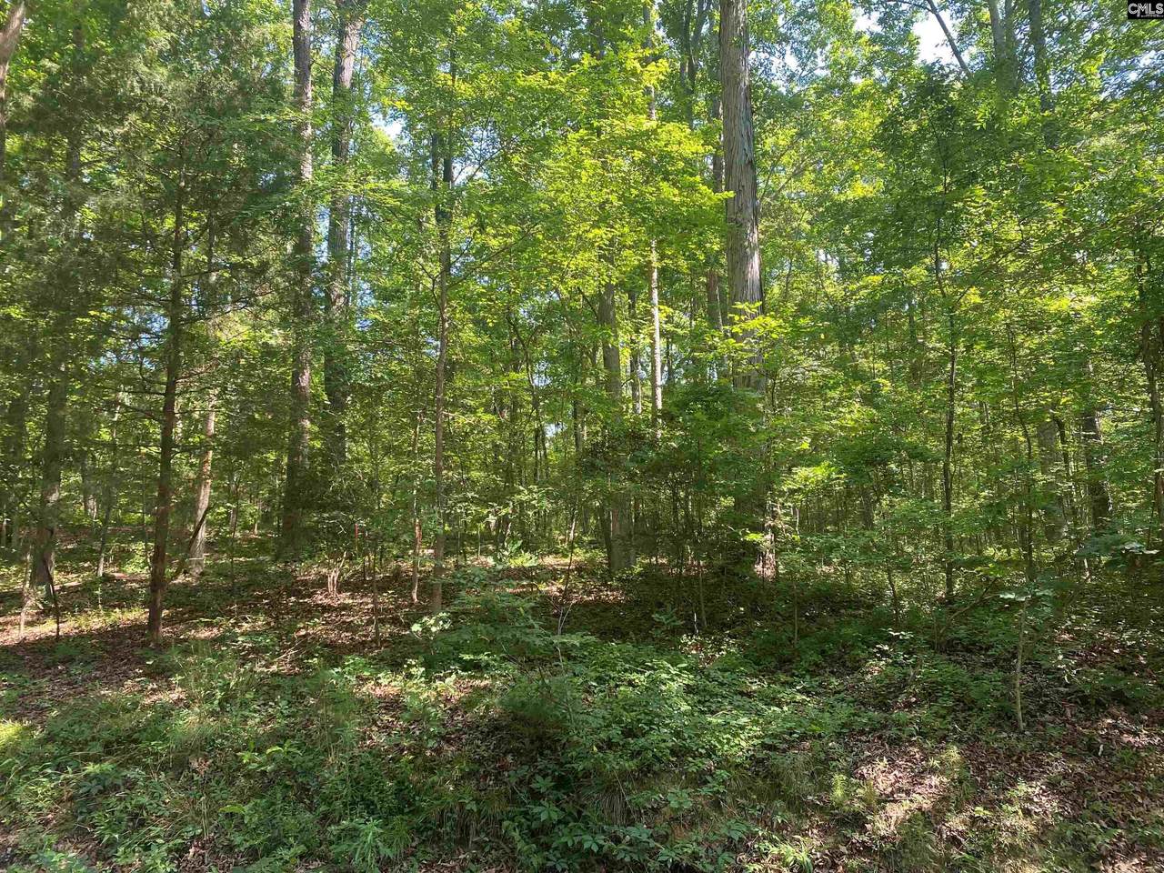 0 Devils Backbone Road - Photo 1