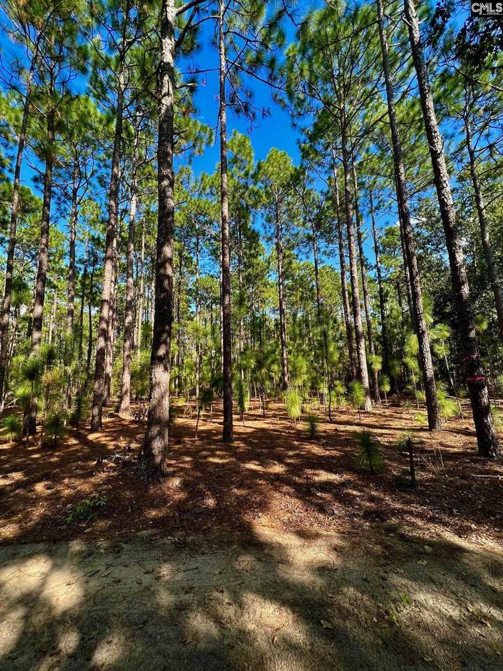 TBD Centerwood Road T - Photo 1
