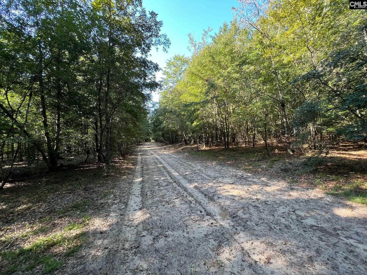 TBD Centerwood Road U - Photo 1