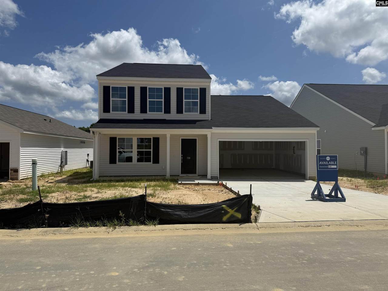 730 Clementine Run - Photo 1