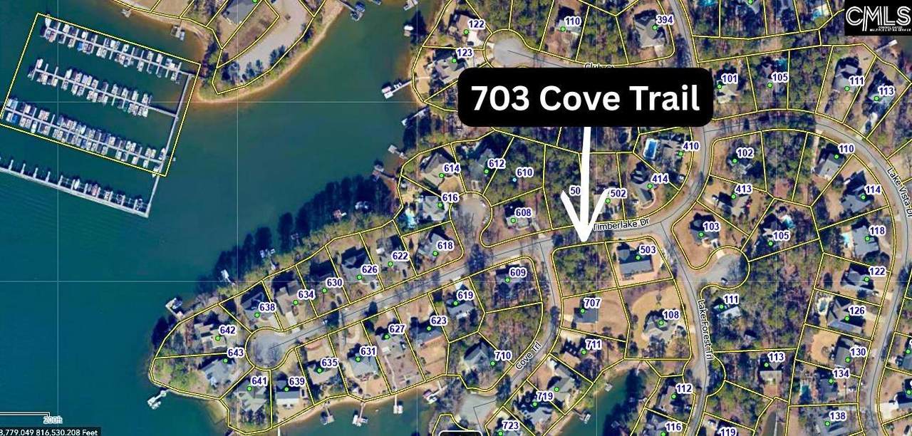 703 Cove Trail - Photo 1